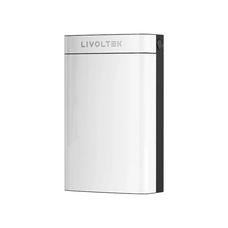 low-voltage battery